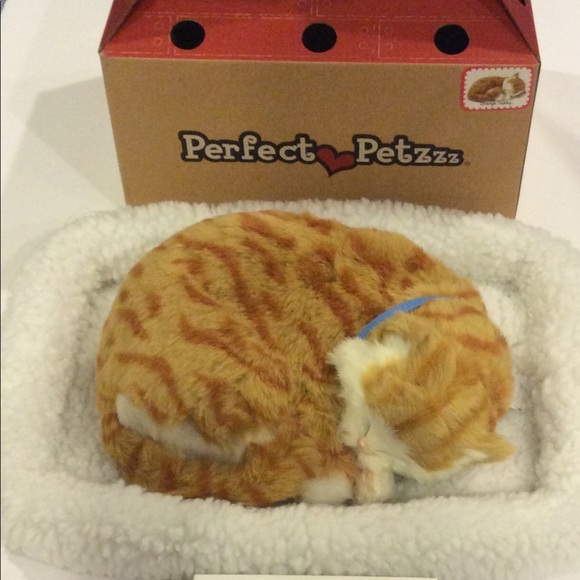 Other - Perfect Petzz kitty cat